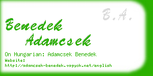 benedek adamcsek business card